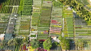Sa Dec Flower Village: A Vibrant Pre-Tet Tourist Destination - image 1