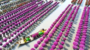 Sa Dec Flower Village: A Vibrant Pre-Tet Tourist Destination - image 9