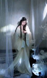 Ethereal Moonlight Muse: Discover the Poetic Beauty of Fen Mian Gu Niang - image 5