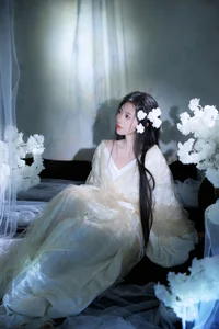 Ethereal Moonlight Muse: Discover the Poetic Beauty of Fen Mian Gu Niang - image 8