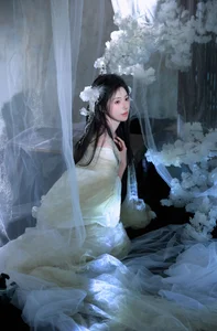 Ethereal Moonlight Muse: Discover the Poetic Beauty of Fen Mian Gu Niang - image 2