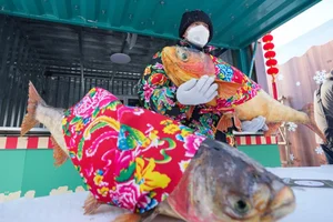 Harbin Ice Harvest: The Spectacular Opening of the Winter Festival Season - image 3