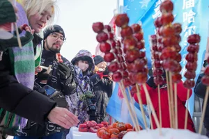Harbin Ice Harvest: The Spectacular Opening of the Winter Festival Season - image 8