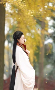 The Art of Elegance: YiTuYu Art Language Vol.6437 Nu Li Hua Zhuang De Sui Sui - image 13