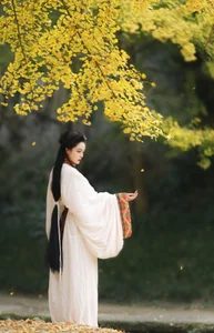 The Art of Elegance: YiTuYu Art Language Vol.6437 Nu Li Hua Zhuang De Sui Sui - image 1
