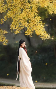 The Art of Elegance: YiTuYu Art Language Vol.6437 Nu Li Hua Zhuang De Sui Sui - image 15