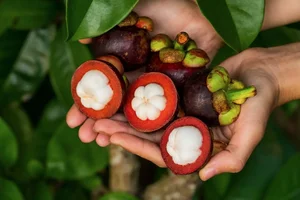 Ultimate Food Guide: Top Delicious Dishes You Must Try When Visiting Binh Duong Province - image 11