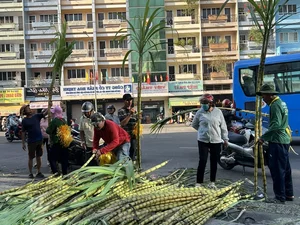 Exploring Vietnam’s Unique Annual Sugarcane Market: A Rare and Vibrant Cultural Tradition Celebrated Once a Year - image 0