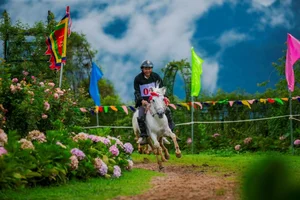 The 7th Annual Horse Racing Festival in Sa Pa: A Spectacle Above the Clouds - image 4