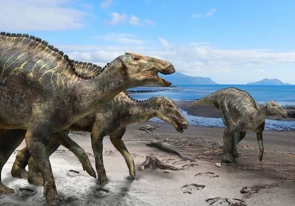 Discovering the Majestic New Duck-Billed Dinosaur from the Late Cretaceous Era
