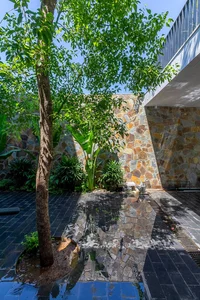 6 Inspiring Modern Townhouse Designs Featuring Lush Indoor Gardens, Natural Light, and Sustainable Biophilic Architecture for a Refreshing Urban Oasis - image 28