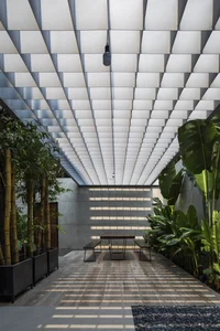 6 Inspiring Modern Townhouse Designs Featuring Lush Indoor Gardens, Natural Light, and Sustainable Biophilic Architecture for a Refreshing Urban Oasis - image 7