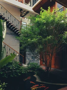 6 Inspiring Modern Townhouse Designs Featuring Lush Indoor Gardens, Natural Light, and Sustainable Biophilic Architecture for a Refreshing Urban Oasis - image 2