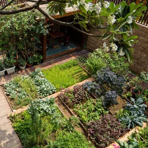 6 Inspiring Modern Townhouse Designs Featuring Lush Indoor Gardens, Natural Light, and Sustainable Biophilic Architecture for a Refreshing Urban Oasis - image 12