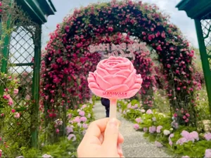 Fansipan Travel Guide: Experiencing the Majestic Rhododendron Season and the Spectacular Rose Festival in Sapa - image 2