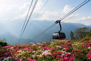 Fansipan Travel Guide: Experiencing the Majestic Rhododendron Season and the Spectacular Rose Festival in Sapa - image 7