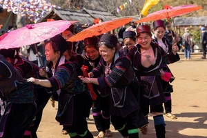 Fansipan Travel Guide: Experiencing the Majestic Rhododendron Season and the Spectacular Rose Festival in Sapa - image 5