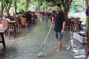 Unique Dining Experience: Discovering the Famous Water Cafe in Ho Chi Minh City - image 9