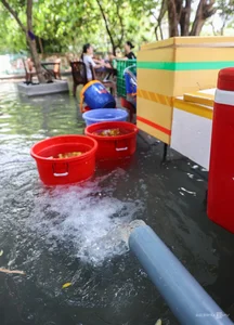 Unique Dining Experience: Discovering the Famous Water Cafe in Ho Chi Minh City - image 10