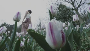 Mu Mu in Art Language Vol.6604: A Journey of Elegance and Style - image 6