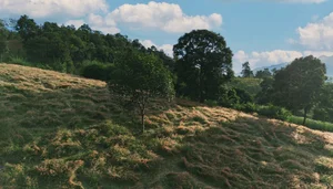 Stunning Landscapes: The Pink Grass Hills of Moc Chau for Nature Lovers - image 1