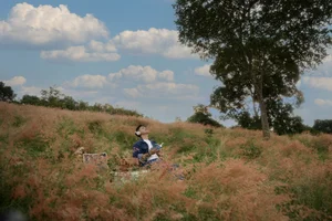 Stunning Landscapes: The Pink Grass Hills of Moc Chau for Nature Lovers - image 3
