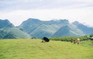 Suoi Bon Son La: The Ultimate Destination for Cloud Hunting and Camping Enthusiasts - image 2