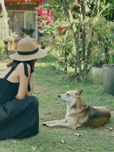 Slow Living in Mang Den: Embracing the Local Lifestyle Through Deep Travel and One-Month Immersions - image 7