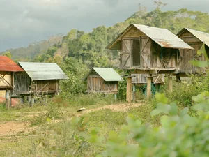 Slow Living in Mang Den: Embracing the Local Lifestyle Through Deep Travel and One-Month Immersions - image 1