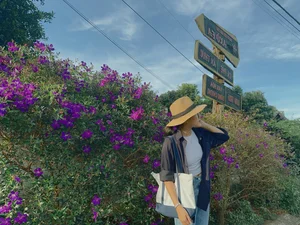 Slow Living in Mang Den: Embracing the Local Lifestyle Through Deep Travel and One-Month Immersions - image 15