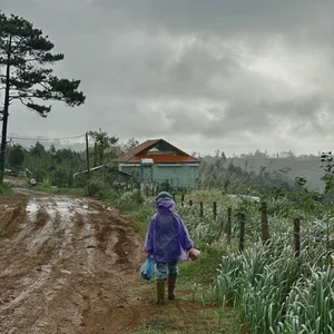 Slow Living in Mang Den: Embracing the Local Lifestyle Through Deep Travel and One-Month Immersions - image 5