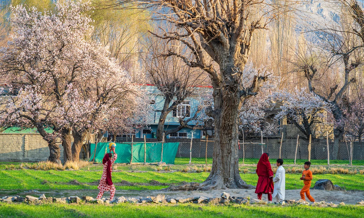 Experience the Breathtaking Magic of Springtime in Pakistan: A Journey Through Blossoming Landscapes and Majestic Mountains