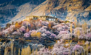 Experience the Breathtaking Magic of Springtime in Pakistan: A Journey Through Blossoming Landscapes and Majestic Mountains - image 6