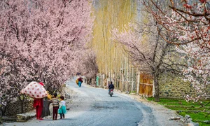 Experience the Breathtaking Magic of Springtime in Pakistan: A Journey Through Blossoming Landscapes and Majestic Mountains - image 8