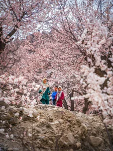 Experience the Breathtaking Magic of Springtime in Pakistan: A Journey Through Blossoming Landscapes and Majestic Mountains - image 11