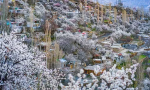 Experience the Breathtaking Magic of Springtime in Pakistan: A Journey Through Blossoming Landscapes and Majestic Mountains - image 10