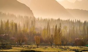 Experience the Breathtaking Magic of Springtime in Pakistan: A Journey Through Blossoming Landscapes and Majestic Mountains - image 5