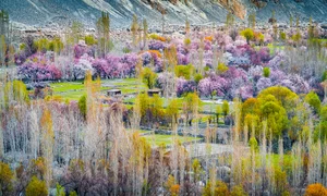Experience the Breathtaking Magic of Springtime in Pakistan: A Journey Through Blossoming Landscapes and Majestic Mountains - image 1