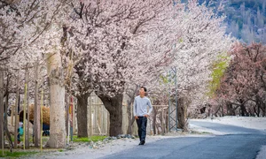 Experience the Breathtaking Magic of Springtime in Pakistan: A Journey Through Blossoming Landscapes and Majestic Mountains - image 9