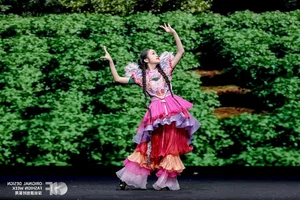 Vietnam’s Heritage Shines Globally: The 'Multicolor Vietnam 2026' Fashion Showcase and Cultural Identity - image 7