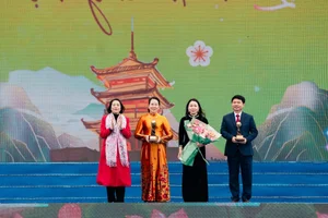 Spiritual Journey: The Spring Festival at Tam Chuc Pagoda, Vietnam - image 8