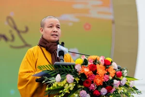 Spiritual Journey: The Spring Festival at Tam Chuc Pagoda, Vietnam - image 5
