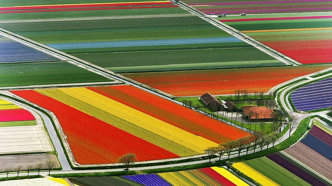 The Science of Scenery: Global Natural Wonders from an Aerial Perspective