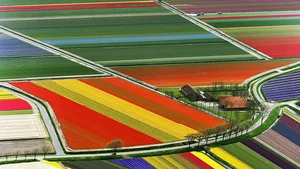 The Science of Scenery: Global Natural Wonders from an Aerial Perspective - image 0