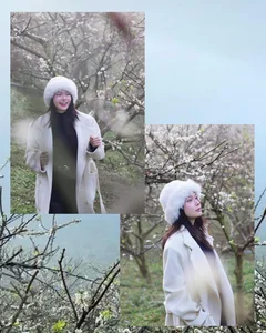 Ethereal Spring Beauty: Capturing the Magic of White Plum Blossoms in Moc Chau, Northwest Vietnam – A Dreamy Floral Travel Guide - image 8