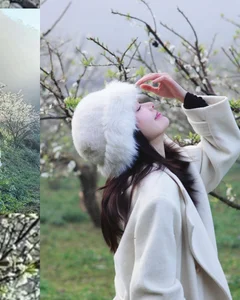 Ethereal Spring Beauty: Capturing the Magic of White Plum Blossoms in Moc Chau, Northwest Vietnam – A Dreamy Floral Travel Guide - image 0
