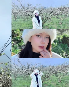 Ethereal Spring Beauty: Capturing the Magic of White Plum Blossoms in Moc Chau, Northwest Vietnam – A Dreamy Floral Travel Guide - image 1