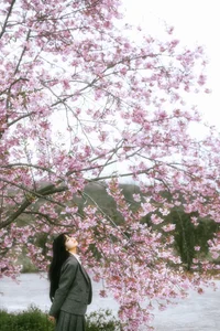 YiTuYu Art Language Vol.6745 Er Liang Feng Yue Artistic Photography Gallery - image 15