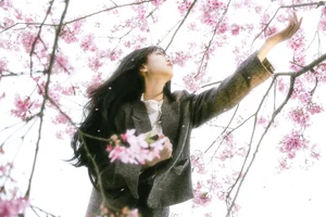 YiTuYu Art Language Vol.6745 Er Liang Feng Yue Artistic Photography Gallery - image 24