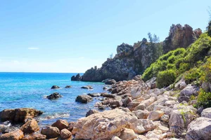Exploring the Natural Wonders of Mũi Vi Rồng: A Hidden Gem for Adventure Travelers - image 4